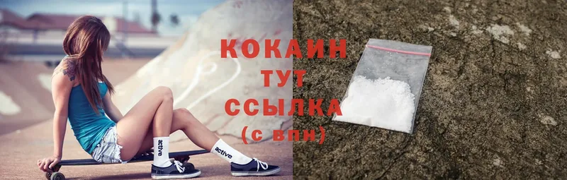 Cocaine Fish Scale  как найти закладки  Буй 